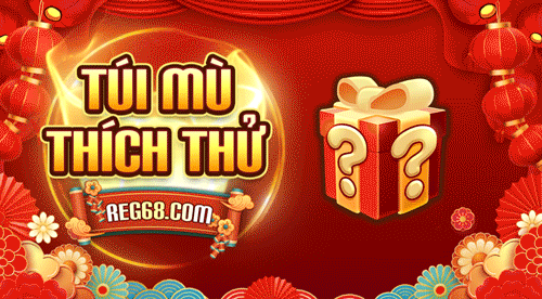 Túi Mù Thích Thử Vip